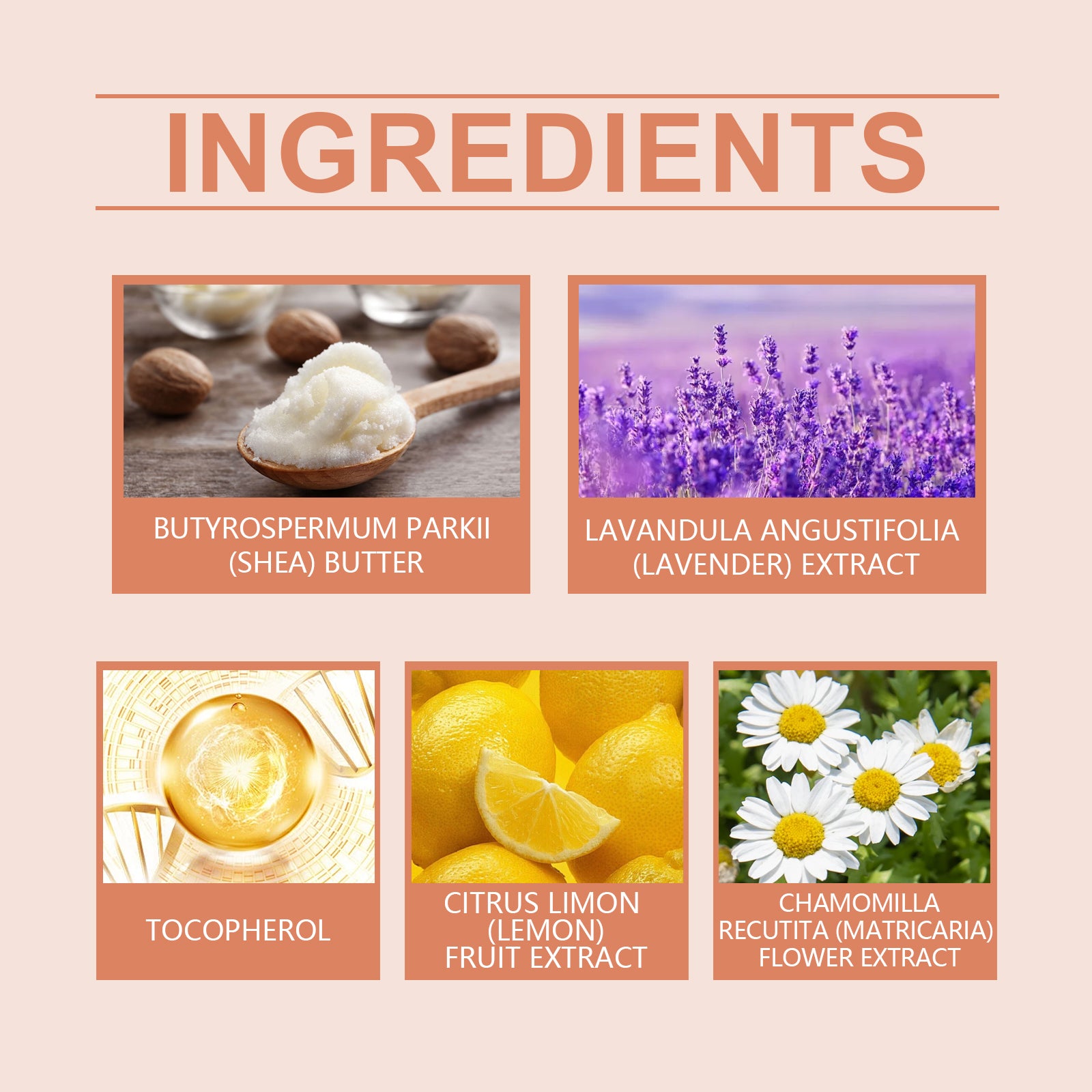 Lavender & Chamomile Ritual Body Butter